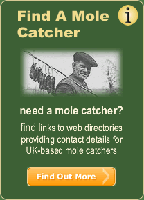 Find a mole catcher